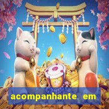 acompanhante em porto velho